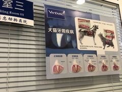 -瑞派·关忠动物医院(国瑞店)