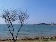 -漕湖湿地公园