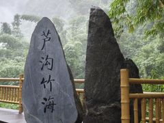 -芦沟竹海