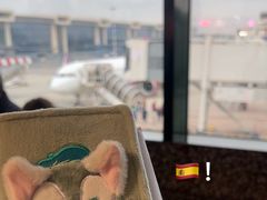 -米兰马尔彭萨国际机场