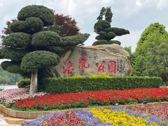 -洛龙公园