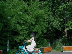 -白鹭湾湿地公园