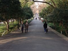 -西湖外事游船(花港观鱼码头)