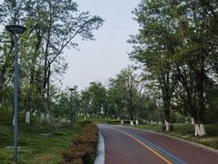 -桂溪生态公园