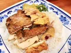 -正斗潮州卤鹅