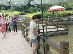 android_upload_pic-东湖公园