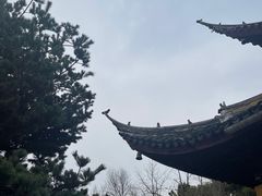 -西园戒幢律寺