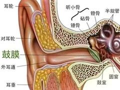 -自然之声助听器·呼吸机(保定清苑店)