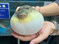 -永安鱼庄·镇江菜(丁卯店)