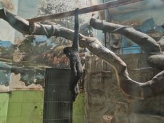 -石家庄市动物园