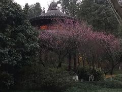 -走马楼饭庄(慈城古县城店)
