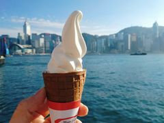 -富豪雪糕车流动点(尖沙咀店)