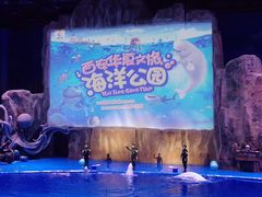 -华夏文旅海洋公园