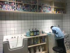 -老吴的猫·猫舍(新区店)