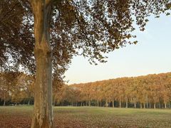 -河南省黄河迎宾馆