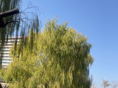 -北国商城