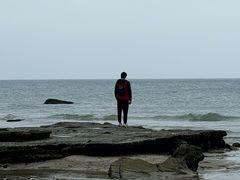 -滴水丹屏