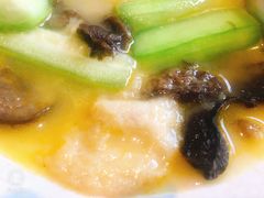 -素虎小呆鸟(西二旗店)