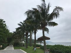 -东澳岛