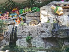 -南宫五洲植物乐园