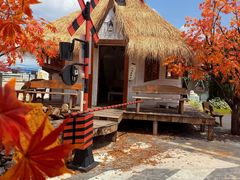 -Blue Concept Cafe&Farm·關於藍