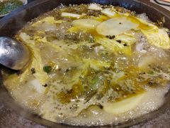 -石锅苗苗鱼(武汉首店)