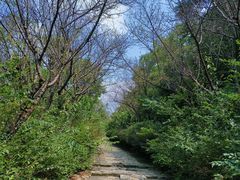 -三圣花乡旅游区