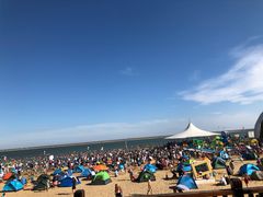 -碧海金沙
