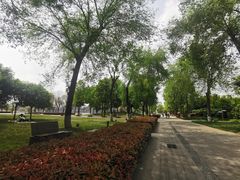 -眉山湿地公园(东坡区)