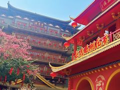 -越秀西湖花市(广州城市广场花卉店)