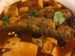 黄鱼烧豆腐-福苗小骆驼烧烤(莲湖路店)