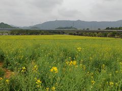 -光明小镇欢乐田园