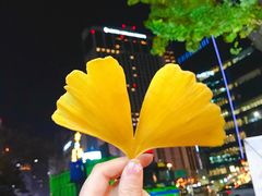 -神仙雪浓汤(明洞店)
