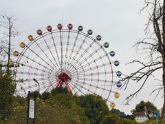 -成都南湖公园