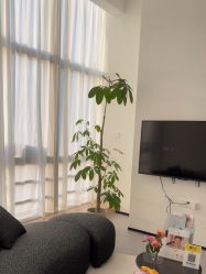 -JNK皮肤管理中心