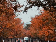 -石湖景区