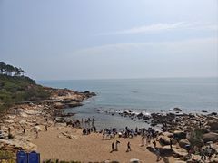-广东惠东海龟国家级自然保护区