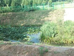 -瀛海足球主题公园