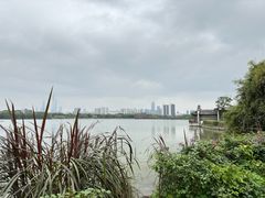 -海珠湖公园