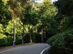 -火炉山森林公园