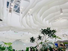 -大树餐厅(朝阳大悦城店)