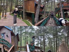 -洛阳白云山景区