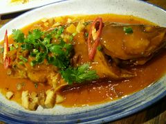 -雀舞云南菜(乐客城店)