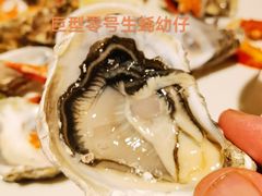 -君悦酒店·乐厨·高空自助餐(青年大街店)