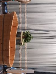 -静博士·养生养颜