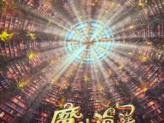-海合安成都极地海洋公园