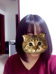 -木北造型