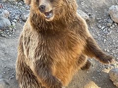 -新疆天山野生动物园