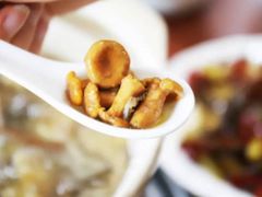 -江川野生菌火锅铜锅鱼(贵清火锅店)