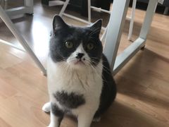 -猫音日语留学培训